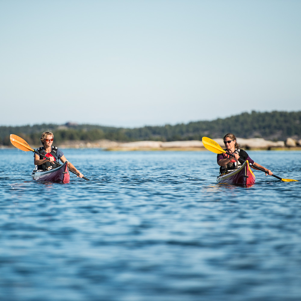 Guided kayaking in the Stockholm Archipelago